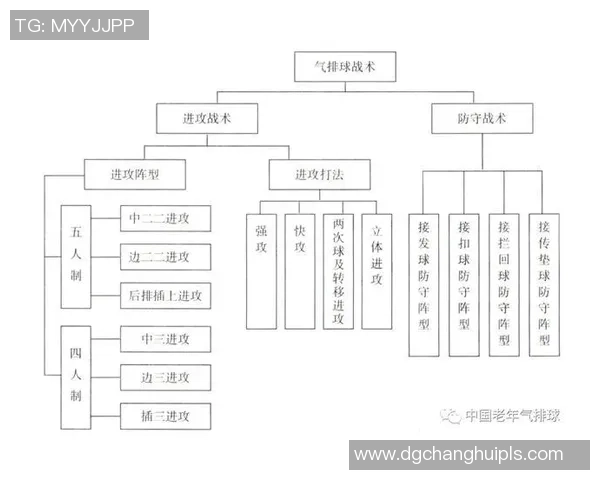 杭州排球队整体压制战术解析与实战应用探讨